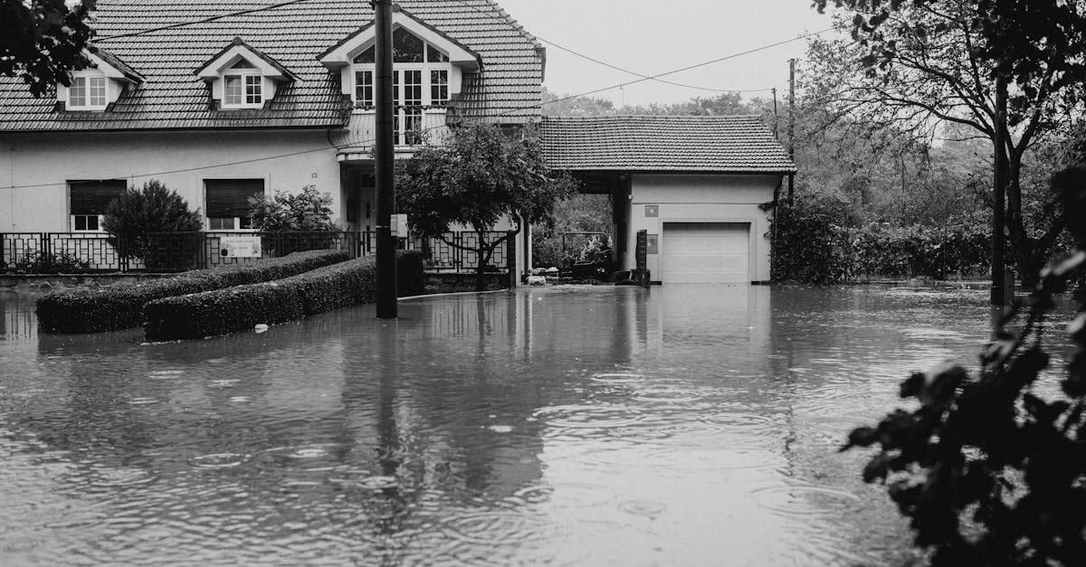 Cover Image for Sprinkler System Discharge: Covered Water Damage You Did Not Expect