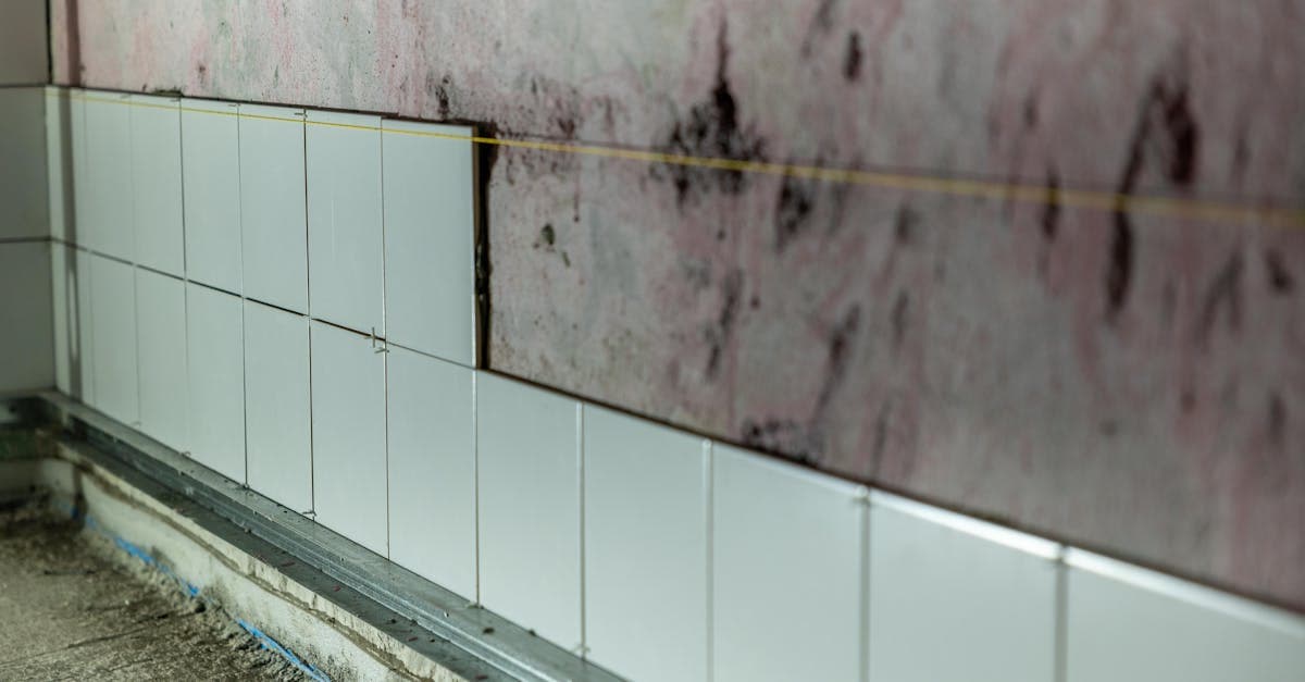Cover Image for Florida Homeowners and Mold: Special Coverage Considerations
