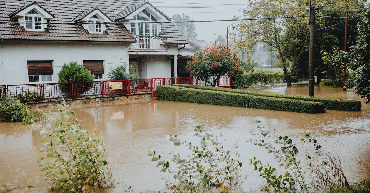 Cover Image for How Much Does Flood Insurance Cost for the Average Homeowner?