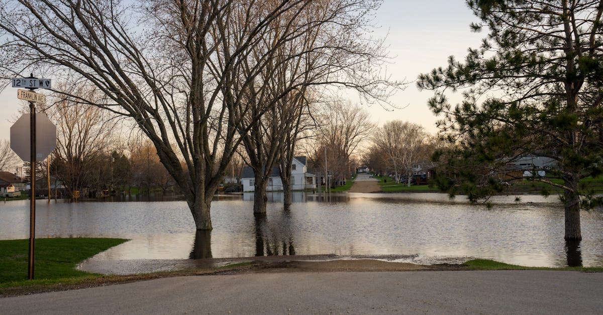 Cover Image for What Flood Insurance Covers: Building and Contents Protection
