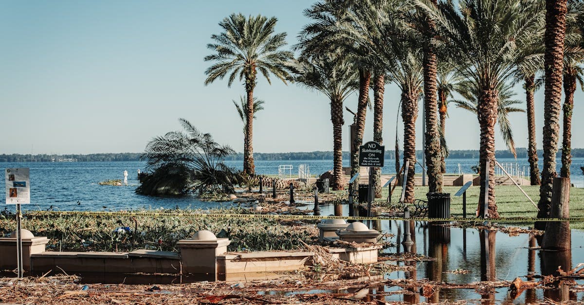 Cover Image for Florida Hurricane Deductible: How It Affects Your Claims Payment