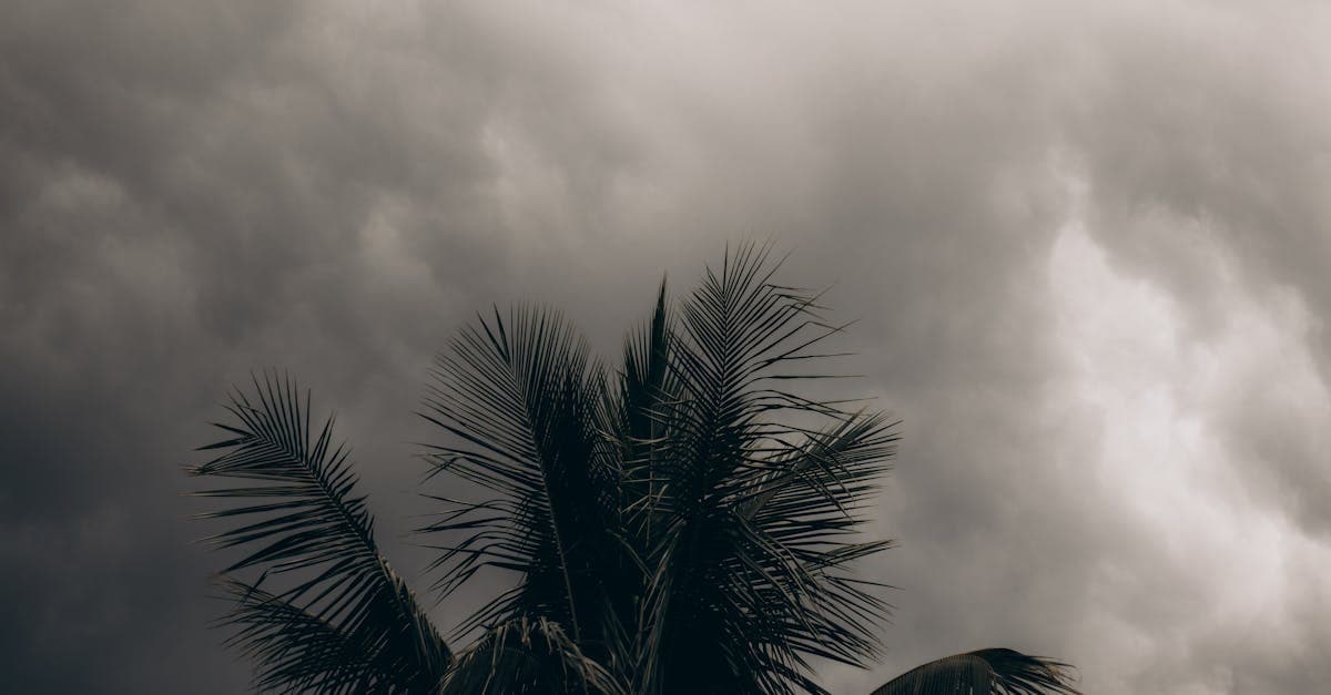 Cover Image for What Triggers a Hurricane Deductible: Wind Speed, Declaration, or Both?