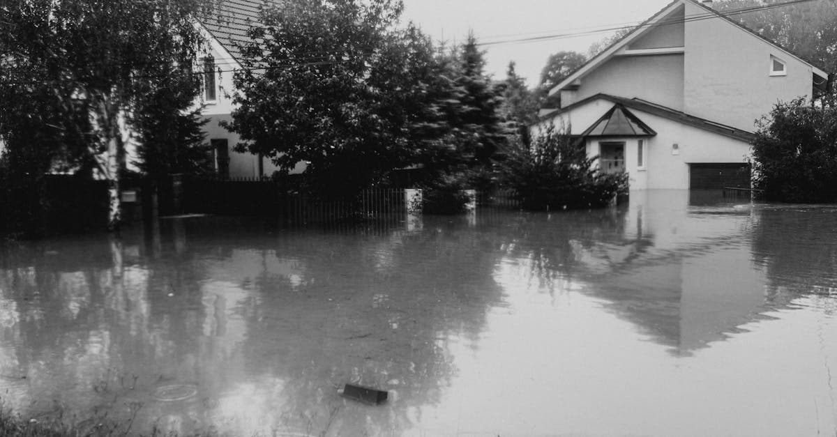 Cover Image for Basement Flooding in Low-Risk Areas: What Insurance Covers and What Does Not