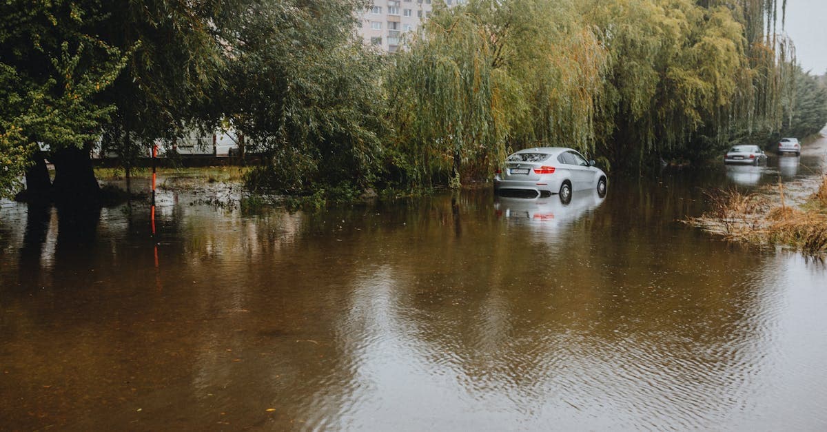 Cover Image for Condo Flood Insurance After a Hurricane: What Changes and What to Expect